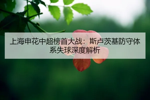 shang-hai-shen-hua-zhong-chao-bang-shou-da-zhan-si-lu-ci-ji-fang-shou-ti-xi-shi-qiu-shen-du-jie-xi-2-735.jpg