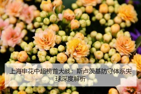 上海申花中超榜首大战：斯卢茨基防守体系失球深度解析