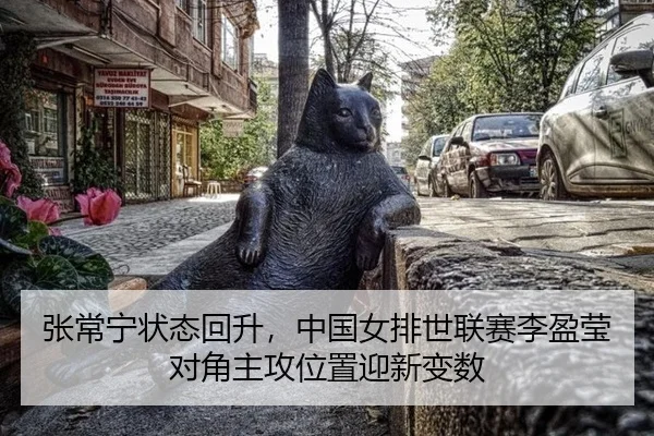 zhang-chang-ning-zhuang-tai-hui-sheng-zhong-guo-nv-pai-shi-lian-sai-li-ying-ying-dui-jiao-zhu-gong-wei-zhi-ying-xin-2-424.jpg