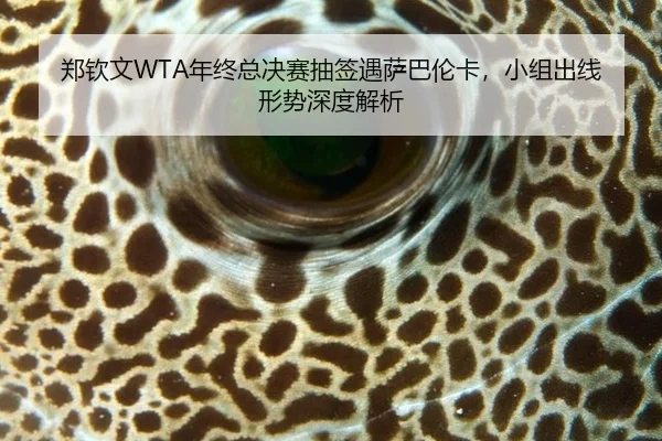 zheng-qin-wen-nian-zhong-zong-jue-sai-chou-qian-yu-sa-ba-lun-ka-xiao-zu-chu-xian-xing-shi-shen-du-jie-xi-2-411.jpg