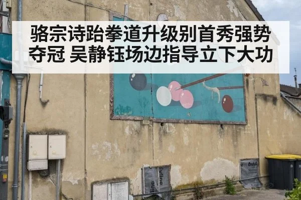 骆宗诗跆拳道升级别首秀强势夺冠 吴静钰场边指导立下大功