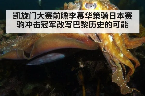 凯旋门大赛前瞻李慕华策骑日本赛驹冲击冠军改写巴黎历史的可能